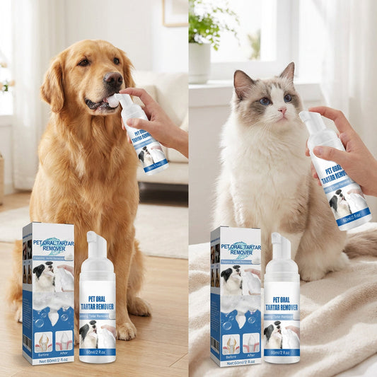 🎁 1+1 INGYEN (2 db)🐾 Háziállat fogkőeltávolító hab – Könnyű szájápolás fogmosás nélkül!