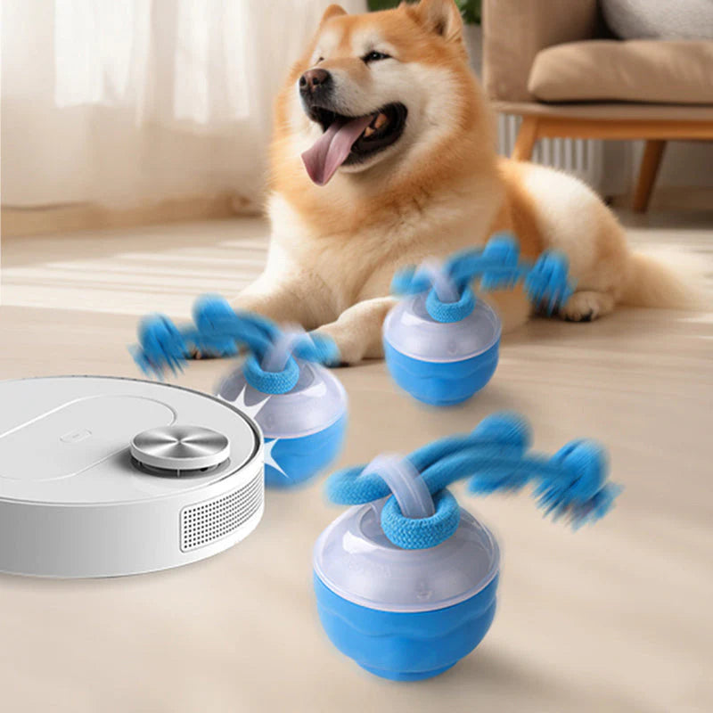 🐾 Interaktív elektronikus játék állatok megnyugtatására – labda 🤖-AKCIÓBAN 🏷️