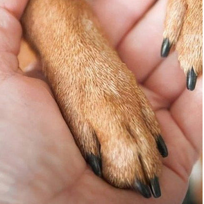🐾Cserélhető reszelőfejjel ellátott fa körömreszelő🪵💅