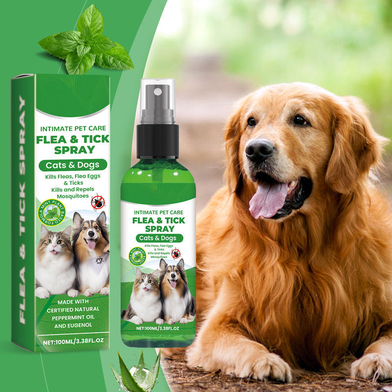 🔥1+1 ingyenes🌿Természetes bolha- és kullancsirtó spray🐾Borsmenta és teafaolajos kártevőriasztó spray – Nyugtatja az irritált bőrt, széles spektrumú védelem!