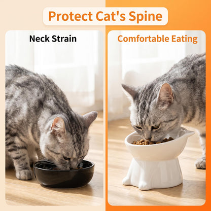 🥣Ergonómikus, emelt műanyag macskatál🐱