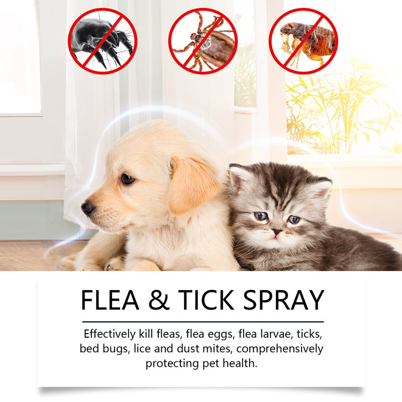 🔥1+1 ingyenes🌿Természetes bolha- és kullancsirtó spray🐾Borsmenta és teafaolajos kártevőriasztó spray – Nyugtatja az irritált bőrt, széles spektrumú védelem!
