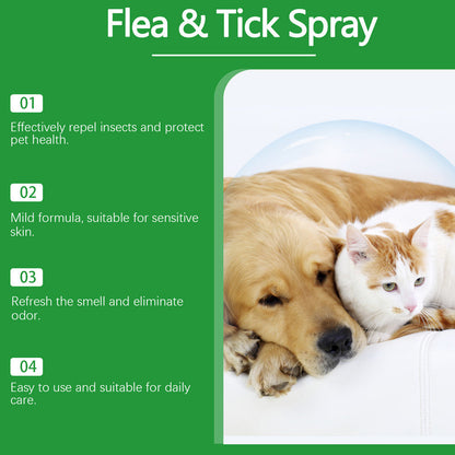 🔥1+1 ingyenes🌿Természetes bolha- és kullancsirtó spray🐾Borsmenta és teafaolajos kártevőriasztó spray – Nyugtatja az irritált bőrt, széles spektrumú védelem!