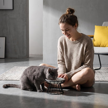 🐱 Kerámia macskatál magas fémállványon – kényelmes és egészséges étkezés a szőrös barátodnak! 🍽️