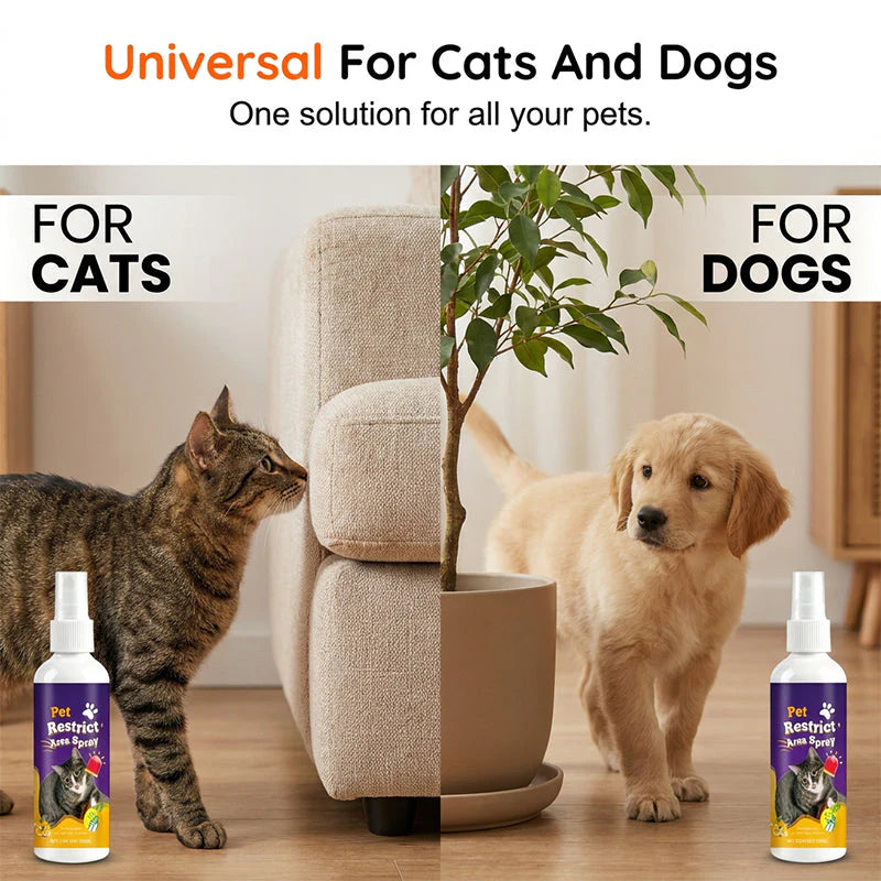 🐾 Állatriasztó spray – természetes macska- és kutyariasztó 💨