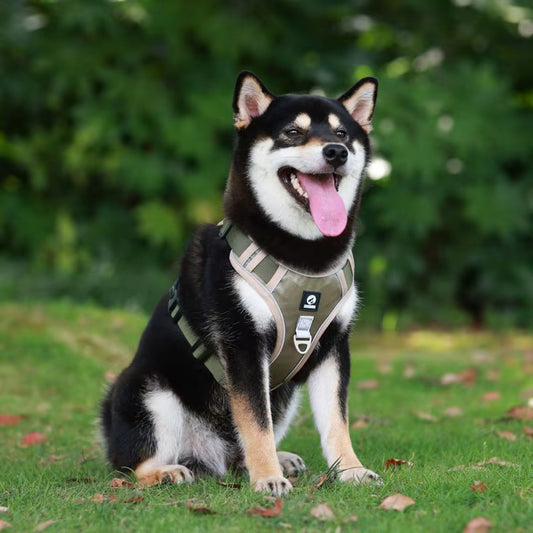 🐶 Multifunkcionális hám nagy kutyáknak🦮 Húzásgátló kutyahám pórázzal és nyakörvvel, LED-es kiegészítővel！